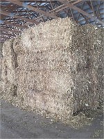 (10) Bales of Corn Fodder