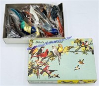 Box of Small Feathered Birds of the World