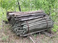 Large bundle of NEW Fence Posts - 6Ft 2- 3inch,