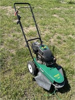 Weed Eater Weed Trimmer - Running