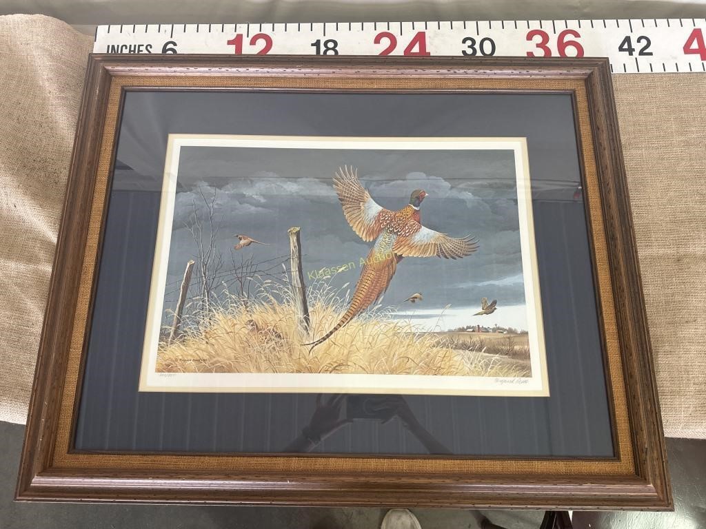 Maynard Reece Pheasant Framed Print 202/950