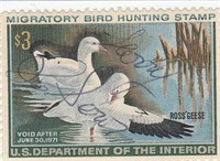 Department of the Interior Duck Hunting Stamp RW37