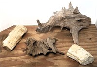 Fossil, Petrified Wood & Drift Wood