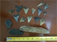 LOT DEAL OF ASSORTED SHARKS TEETH - FOSSILS