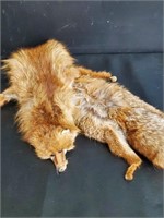 Fox Pelt / Stole
