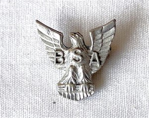 Sterling Boy Scouts of America Eagle Pin
