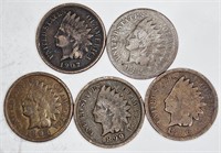 Lot of 5 Indian Head Cents