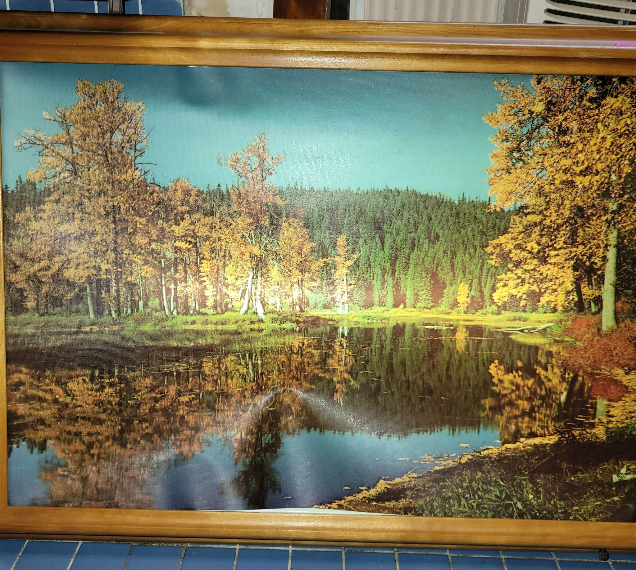 Lighted Picture of Goose Lake, Washington Works