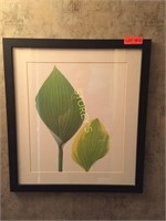 Green Leaf Framed Picture - 21.5 x 24