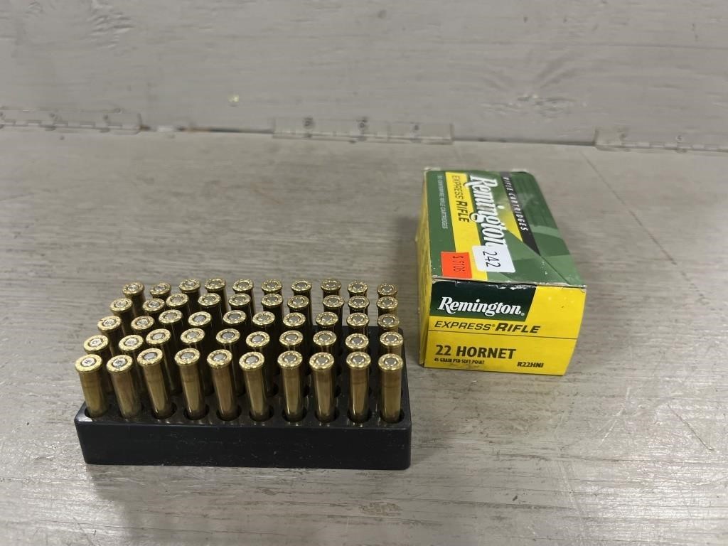 (39) Rounds 22 Hornet