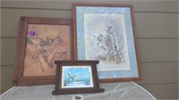 3  WILDLIFE PICTURES( THE MEASUREMENTS OF THE