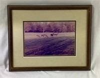 19 x 16 deer print