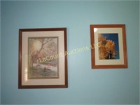 2 framed pictures prints