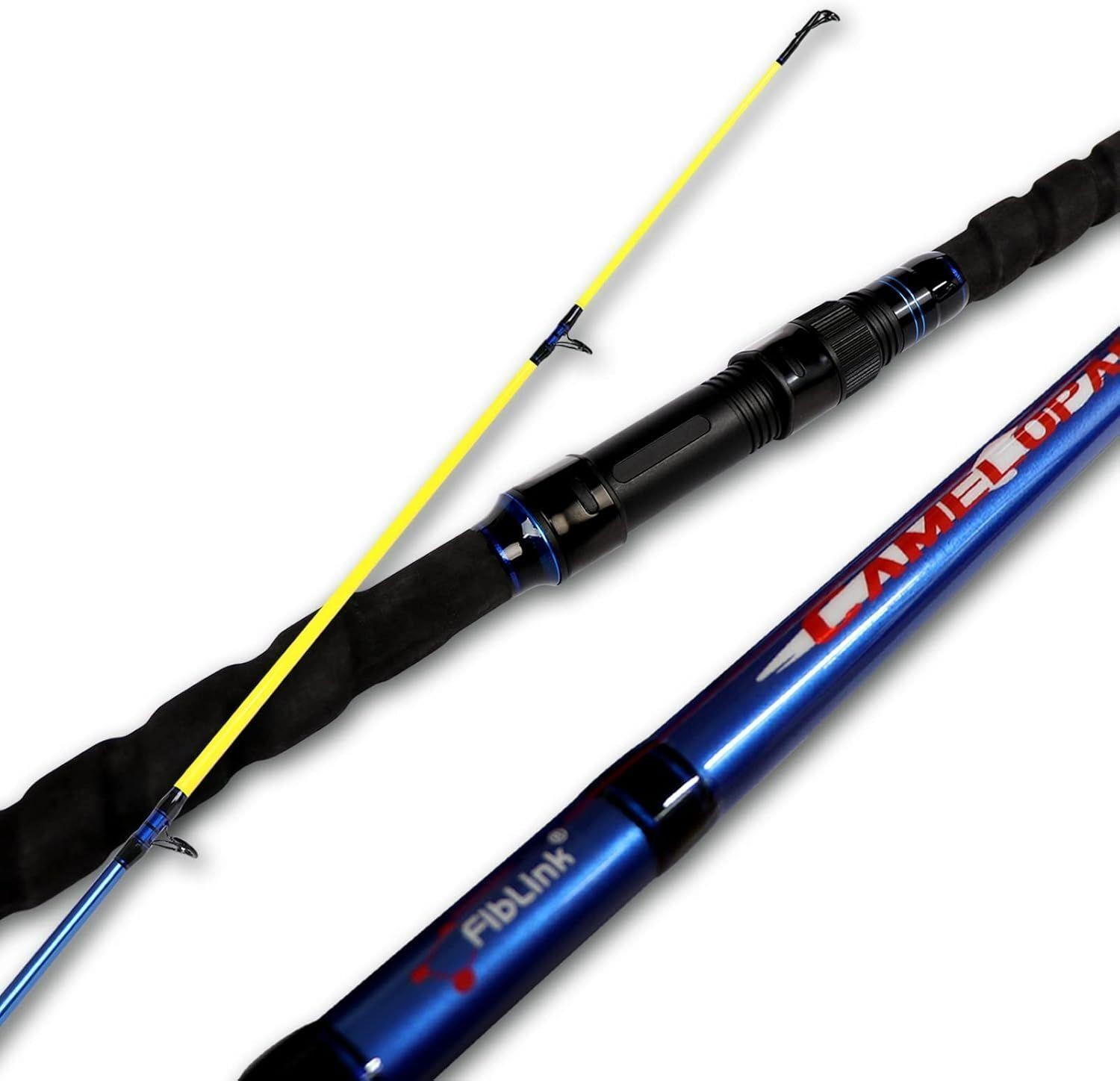 Fiblink Surf Spinning Fishing Rod 2-Piece Carbon