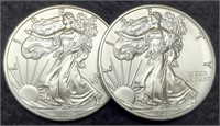 (2) 2021 Type 1 Silver Eagles