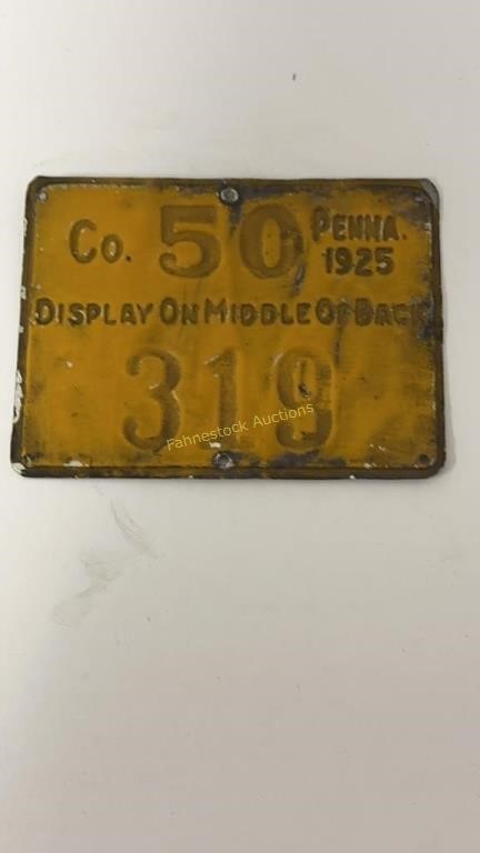 1925 Metal Penna hunting license, Co 50 #319