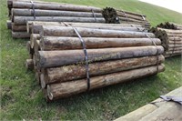 Roughly 24 posts 8ftx 6-8in