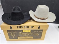 2 Nice Western Hats El Paso  Texas See Pics