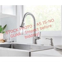 Allen+Roth Albers pull down kitchen faucet