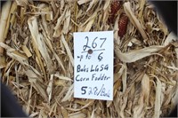 Corn Fodder-Lg.squares