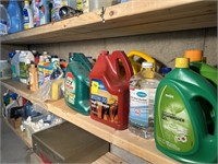 Shelf of Motor Oil, Hand Sanitizer, Dishwasher Gel