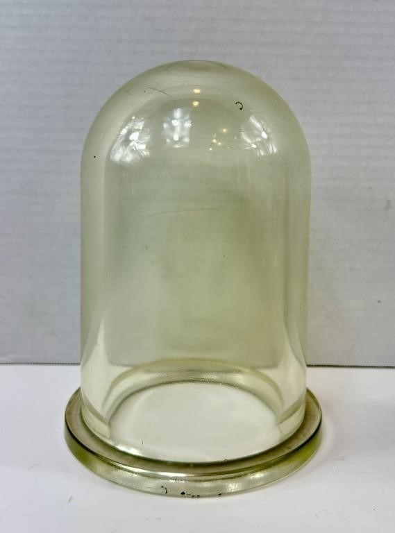 Vintage Glass Display Dome