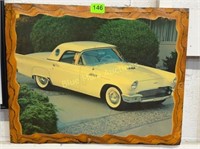 T- Bird picture on board 20x15