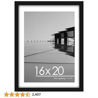 16x20 Picture Frame