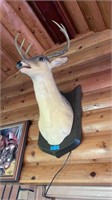 Buck the Singing & Talking Deer Head With Power