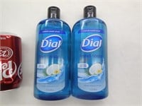(2) Dial Hand Soap Coconut Splash 17 fl oz