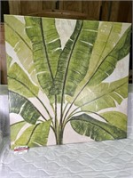 Banana Tree Picture 35.75 x 35.75 inches