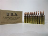 556 Ammo