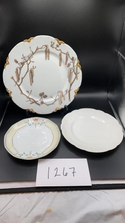 Haviland (France) China Plates