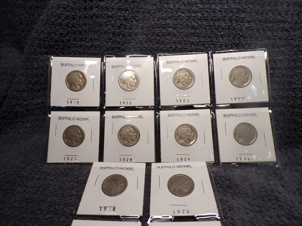 MIsc lot of Buffalo nickles