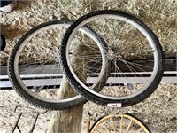 2 - Bicycle Tires