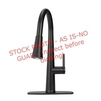 Allen&Roth pull down kitchen faucet/led light