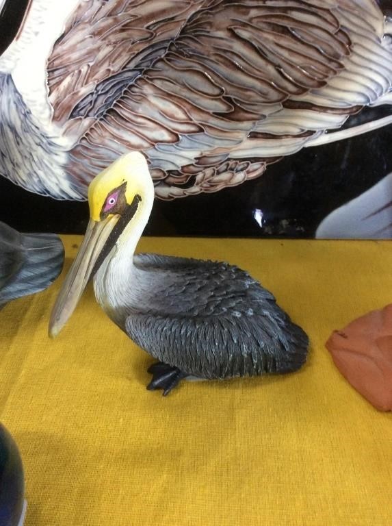 Small pelican