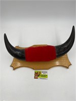 Vintage buffalo Horn Mount