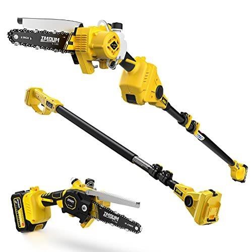 ?2-in-1?Cordless Pole Saw & Mini Chainsaw,