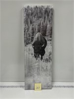 Bison Photograph on Canvas