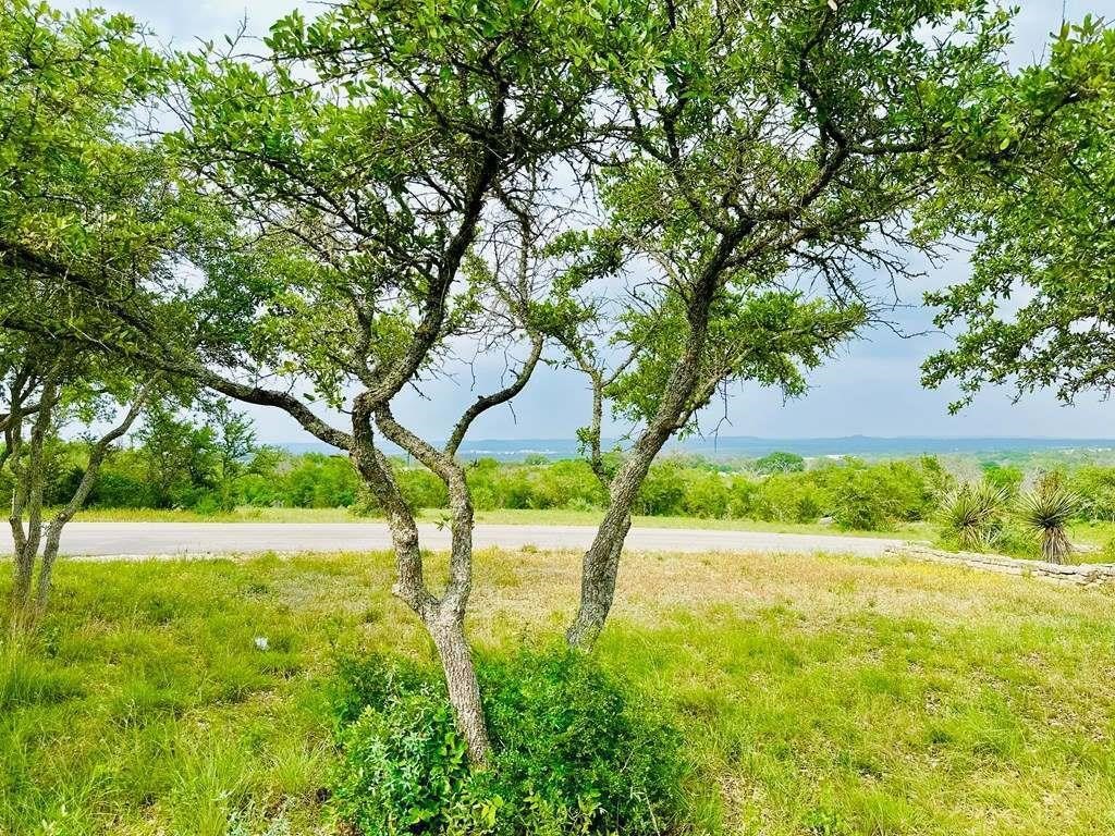 Hill Country Land Auction