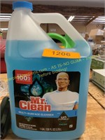 Mr. Clean 1gal