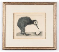 Christine McGinnis "Kiwi" Etching on Paper