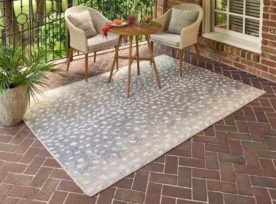 allen + roth STAINMASTER 5’ x 7’ Outdoor Area Rug