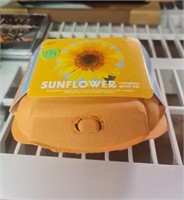 Sunflower grow kit