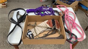 Assorted ropes and horse tack