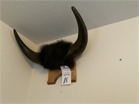 BUFFALO MOUNT