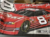 Dale Earnhardt junior flag, display on the 6 foot