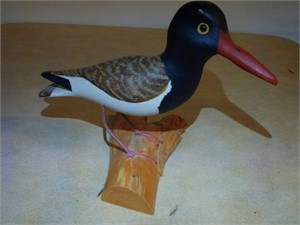 Hand Carved Signed "Oystercatcher"