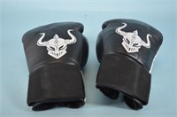 16 Oz  Boxing Gloves